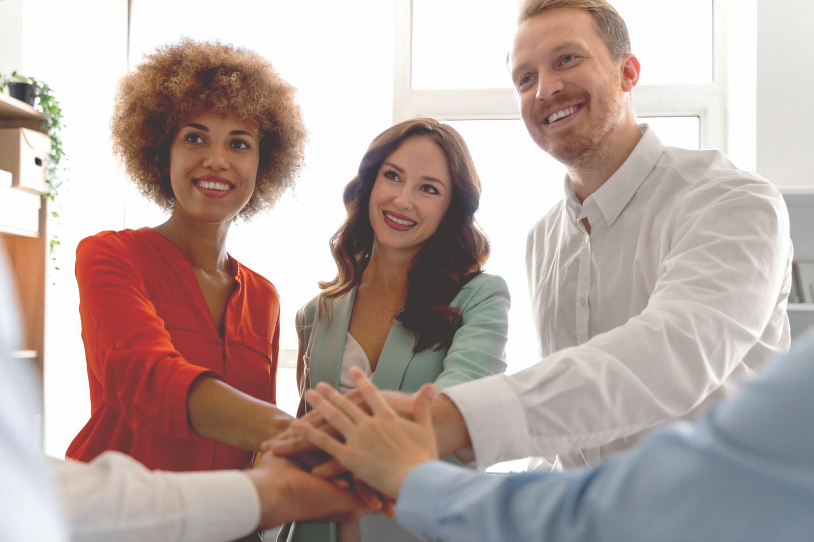 Professional multi-monitor setup for advanced budget risk analysis